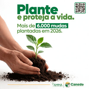 Senador Canedo Outubro 2026 Destaque lateral B