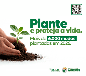 Senador Canedo Outubro 2026 Matéria Texto